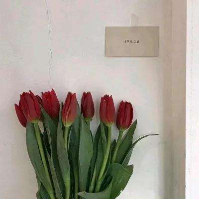 单机游戏薛仁贵传奇下载